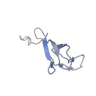 35637_8ipa_xa_v1-0
Wheat 80S ribosome stalled on AUG-Stop boron dependently with cycloheximide