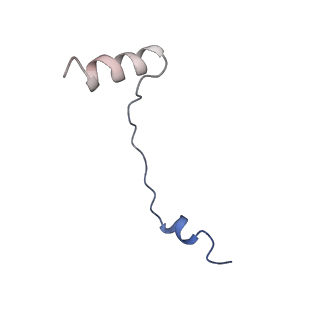 35637_8ipa_ya_v1-0
Wheat 80S ribosome stalled on AUG-Stop boron dependently with cycloheximide