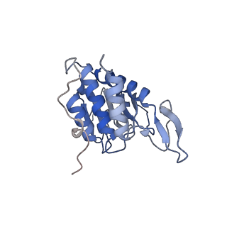 35637_8ipa_za_v1-0
Wheat 80S ribosome stalled on AUG-Stop boron dependently with cycloheximide