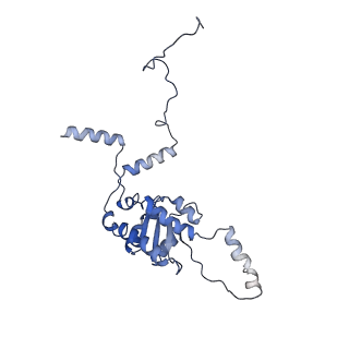 35638_8ipb_AA_v1-0
Wheat 80S ribosome pausing on AUG-Stop with cycloheximide