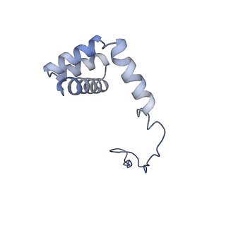 35638_8ipb_AB_v1-0
Wheat 80S ribosome pausing on AUG-Stop with cycloheximide