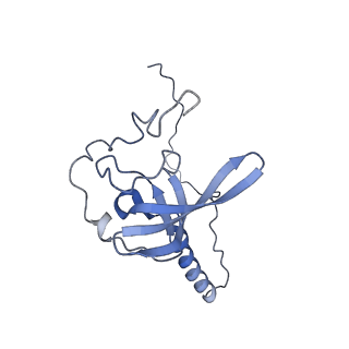 35638_8ipb_BA_v1-0
Wheat 80S ribosome pausing on AUG-Stop with cycloheximide