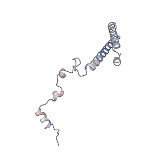 35638_8ipb_BB_v1-0
Wheat 80S ribosome pausing on AUG-Stop with cycloheximide