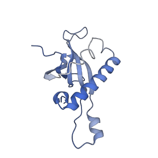 35638_8ipb_CA_v1-0
Wheat 80S ribosome pausing on AUG-Stop with cycloheximide