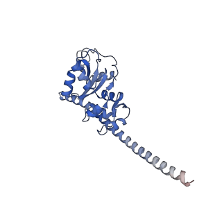 35638_8ipb_CB_v1-0
Wheat 80S ribosome pausing on AUG-Stop with cycloheximide