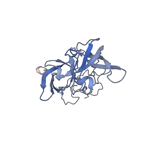 35638_8ipb_DA_v1-0
Wheat 80S ribosome pausing on AUG-Stop with cycloheximide