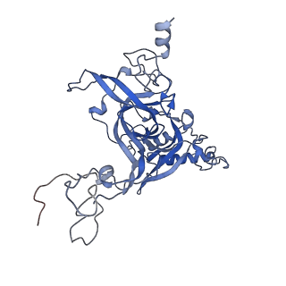 35638_8ipb_DB_v1-0
Wheat 80S ribosome pausing on AUG-Stop with cycloheximide