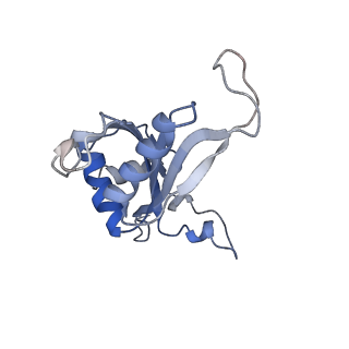 35638_8ipb_EA_v1-0
Wheat 80S ribosome pausing on AUG-Stop with cycloheximide