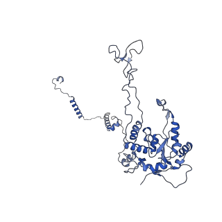 35638_8ipb_EB_v1-0
Wheat 80S ribosome pausing on AUG-Stop with cycloheximide