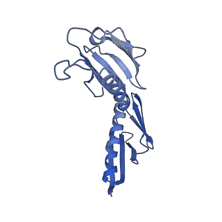 35638_8ipb_FA_v1-0
Wheat 80S ribosome pausing on AUG-Stop with cycloheximide