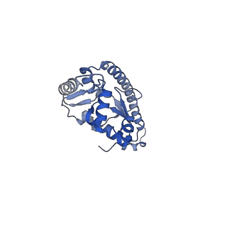 35638_8ipb_FB_v1-0
Wheat 80S ribosome pausing on AUG-Stop with cycloheximide