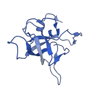 35638_8ipb_GA_v1-0
Wheat 80S ribosome pausing on AUG-Stop with cycloheximide