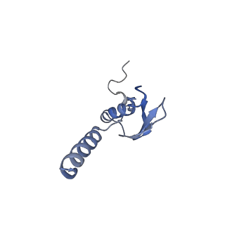 35638_8ipb_GB_v1-0
Wheat 80S ribosome pausing on AUG-Stop with cycloheximide