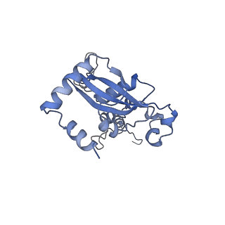 35638_8ipb_HA_v1-0
Wheat 80S ribosome pausing on AUG-Stop with cycloheximide