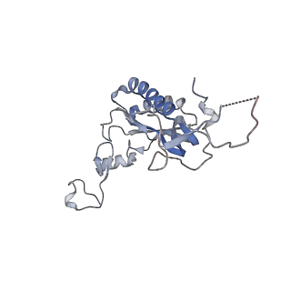 35638_8ipb_HB_v1-0
Wheat 80S ribosome pausing on AUG-Stop with cycloheximide