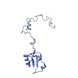 35638_8ipb_IA_v1-0
Wheat 80S ribosome pausing on AUG-Stop with cycloheximide