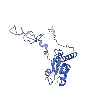 35638_8ipb_JA_v1-0
Wheat 80S ribosome pausing on AUG-Stop with cycloheximide