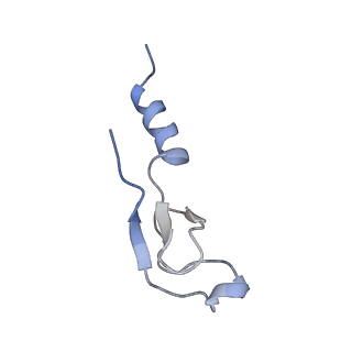 35638_8ipb_JB_v1-0
Wheat 80S ribosome pausing on AUG-Stop with cycloheximide