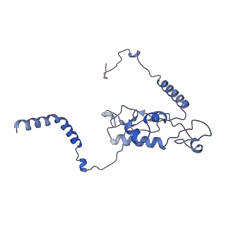 35638_8ipb_KB_v1-0
Wheat 80S ribosome pausing on AUG-Stop with cycloheximide