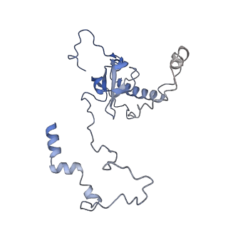 35638_8ipb_LB_v1-0
Wheat 80S ribosome pausing on AUG-Stop with cycloheximide