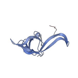 35638_8ipb_MB_v1-0
Wheat 80S ribosome pausing on AUG-Stop with cycloheximide