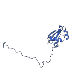 35638_8ipb_NA_v1-0
Wheat 80S ribosome pausing on AUG-Stop with cycloheximide