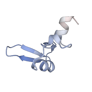 35638_8ipb_OA_v1-0
Wheat 80S ribosome pausing on AUG-Stop with cycloheximide