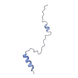 35638_8ipb_OB_v1-0
Wheat 80S ribosome pausing on AUG-Stop with cycloheximide