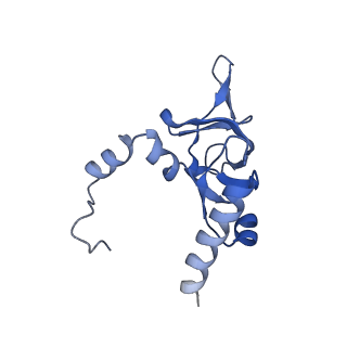 35638_8ipb_PA_v1-0
Wheat 80S ribosome pausing on AUG-Stop with cycloheximide