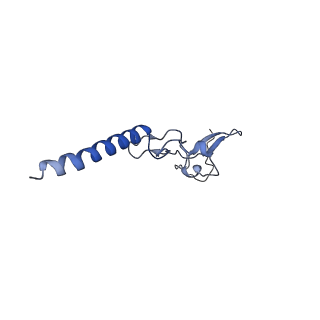 35638_8ipb_PB_v1-0
Wheat 80S ribosome pausing on AUG-Stop with cycloheximide