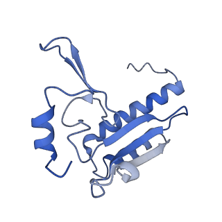 35638_8ipb_QA_v1-0
Wheat 80S ribosome pausing on AUG-Stop with cycloheximide