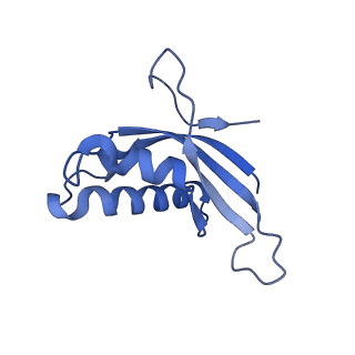 35638_8ipb_SA_v1-0
Wheat 80S ribosome pausing on AUG-Stop with cycloheximide