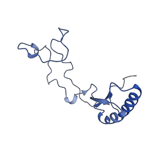 35638_8ipb_TA_v1-0
Wheat 80S ribosome pausing on AUG-Stop with cycloheximide