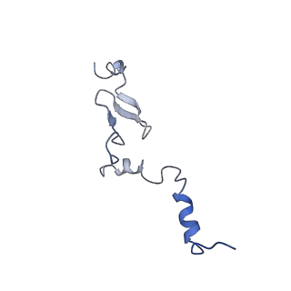 35638_8ipb_UA_v1-0
Wheat 80S ribosome pausing on AUG-Stop with cycloheximide