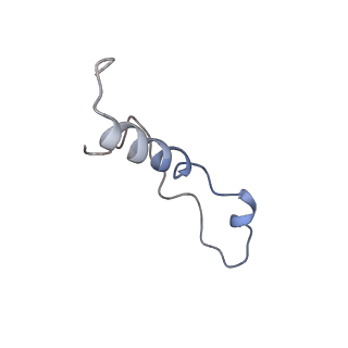 35638_8ipb_VA_v1-0
Wheat 80S ribosome pausing on AUG-Stop with cycloheximide