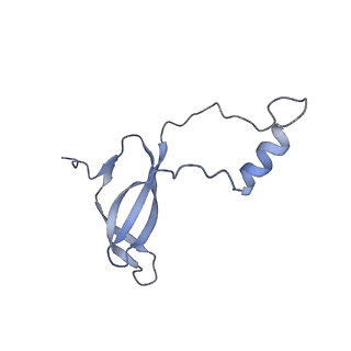 35638_8ipb_WA_v1-0
Wheat 80S ribosome pausing on AUG-Stop with cycloheximide