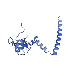 35638_8ipb_XA_v1-0
Wheat 80S ribosome pausing on AUG-Stop with cycloheximide