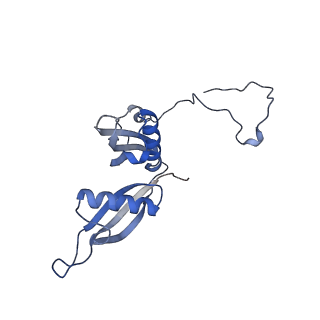 35638_8ipb_YA_v1-0
Wheat 80S ribosome pausing on AUG-Stop with cycloheximide