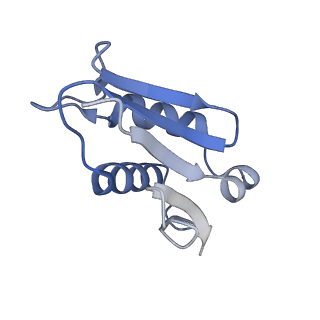 35638_8ipb_ZA_v1-0
Wheat 80S ribosome pausing on AUG-Stop with cycloheximide