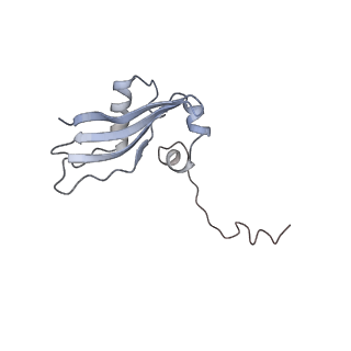 35638_8ipb_ba_v1-0
Wheat 80S ribosome pausing on AUG-Stop with cycloheximide