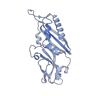 35638_8ipb_bb_v1-0
Wheat 80S ribosome pausing on AUG-Stop with cycloheximide