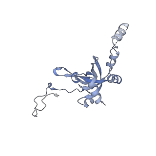 35638_8ipb_ca_v1-0
Wheat 80S ribosome pausing on AUG-Stop with cycloheximide