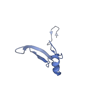 35638_8ipb_cb_v1-0
Wheat 80S ribosome pausing on AUG-Stop with cycloheximide