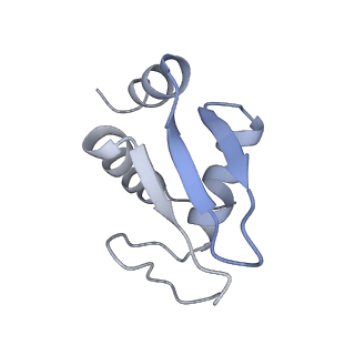 35638_8ipb_da_v1-0
Wheat 80S ribosome pausing on AUG-Stop with cycloheximide