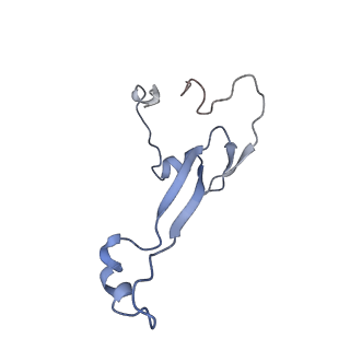 35638_8ipb_db_v1-0
Wheat 80S ribosome pausing on AUG-Stop with cycloheximide