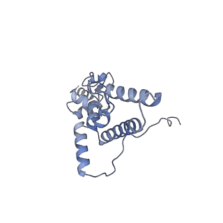 35638_8ipb_eb_v1-0
Wheat 80S ribosome pausing on AUG-Stop with cycloheximide