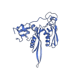 35638_8ipb_fb_v1-0
Wheat 80S ribosome pausing on AUG-Stop with cycloheximide