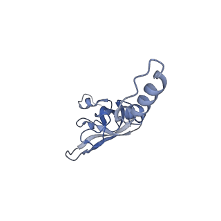 35638_8ipb_ga_v1-0
Wheat 80S ribosome pausing on AUG-Stop with cycloheximide