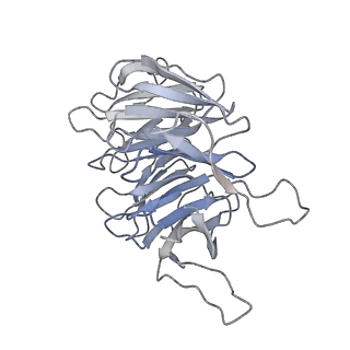 35638_8ipb_ha_v1-0
Wheat 80S ribosome pausing on AUG-Stop with cycloheximide