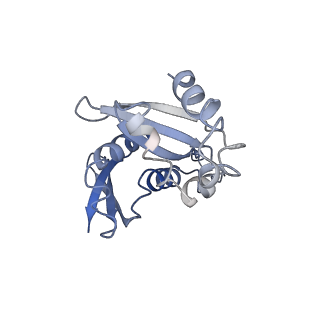 35638_8ipb_hb_v1-0
Wheat 80S ribosome pausing on AUG-Stop with cycloheximide